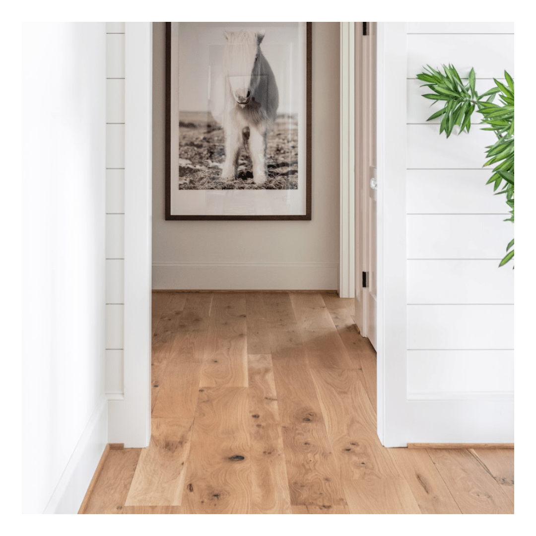 Tumbleweed | 𝐀𝐦𝐞𝐫𝐢𝐜𝐚𝐧 𝐖𝐡𝐢𝐭𝐞 𝐎𝐚𝐤